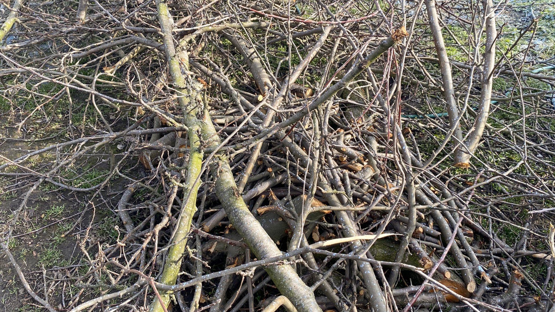 county-composting-process-one